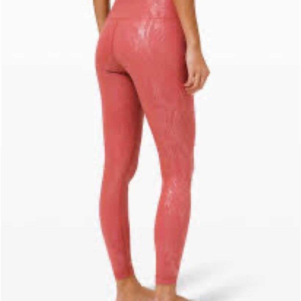 Wunder under high rise tight shine